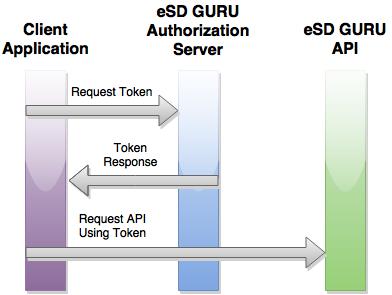 API Guide - eSD GURU API